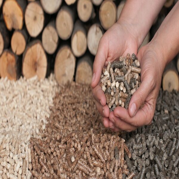 Wood pellets - Image 3